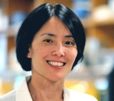 alice shaw