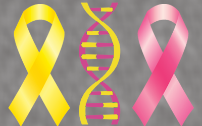 Bladder-Breast-Cancer-Genomics