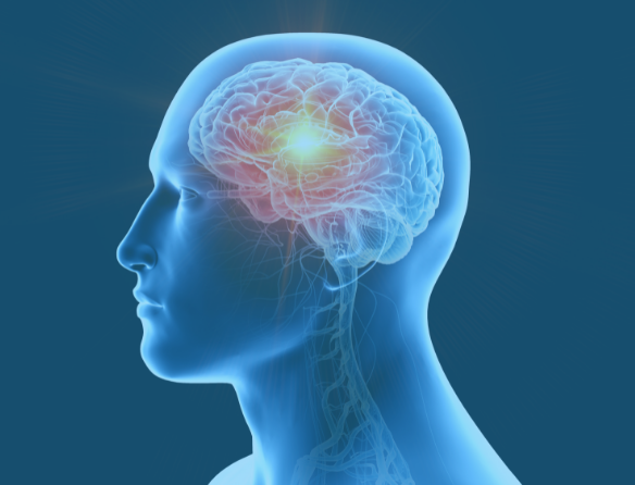 Brain Cancer Location