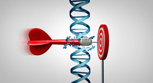 Targeted Cancer Therapies