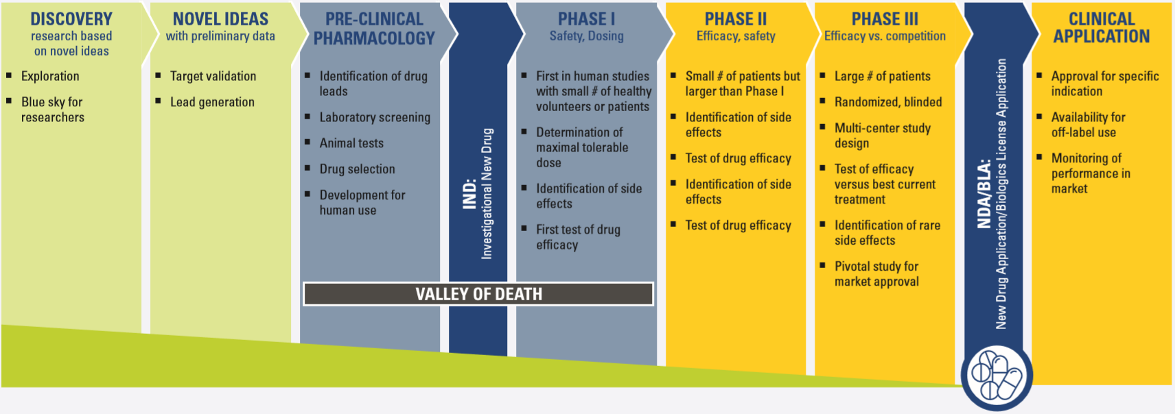 snapshot infographic