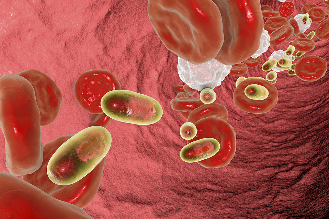 Breakthroughs in Cancer-Fighting Nanomedicine image EYe Nanoparticles