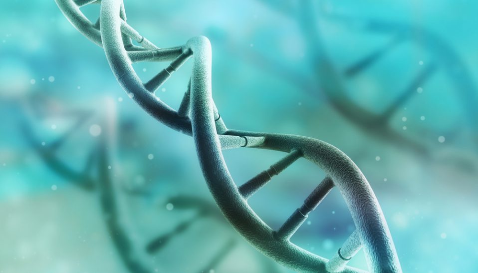 Epigenetics Methylation and CancerImage