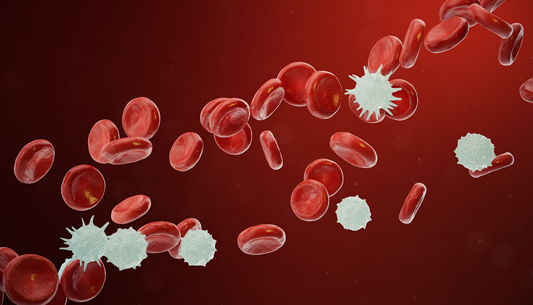 September is Blood Cancer Awareness Month image blood cancer awareness