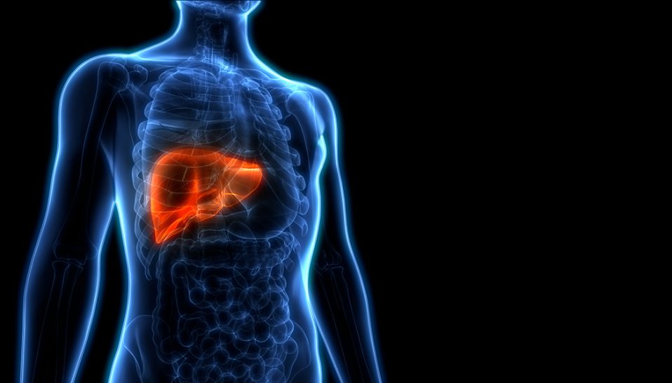 Liver Cancer A Primer