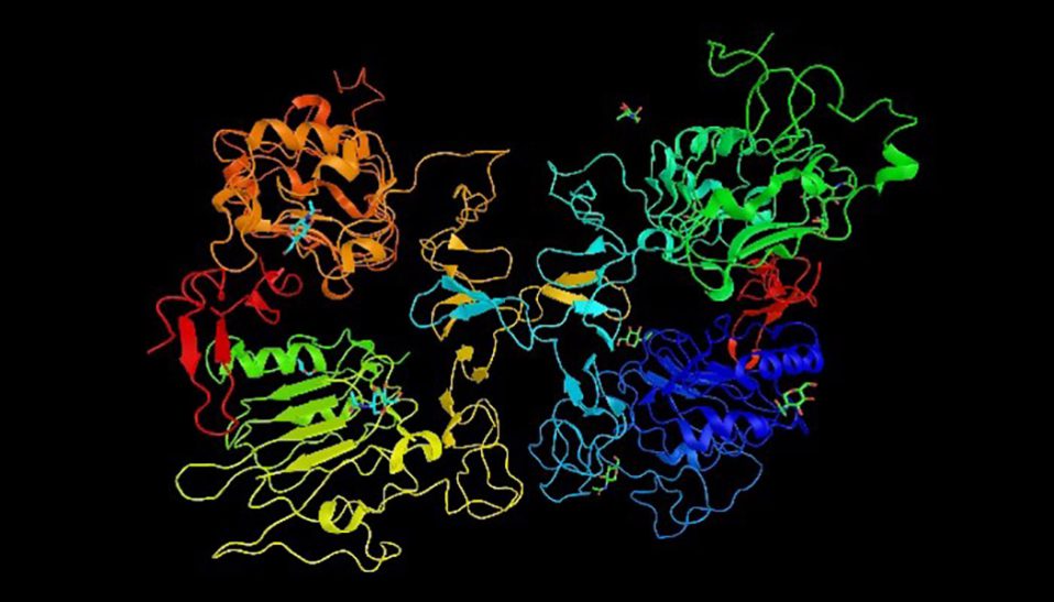 targeted lung cancer therapy wp