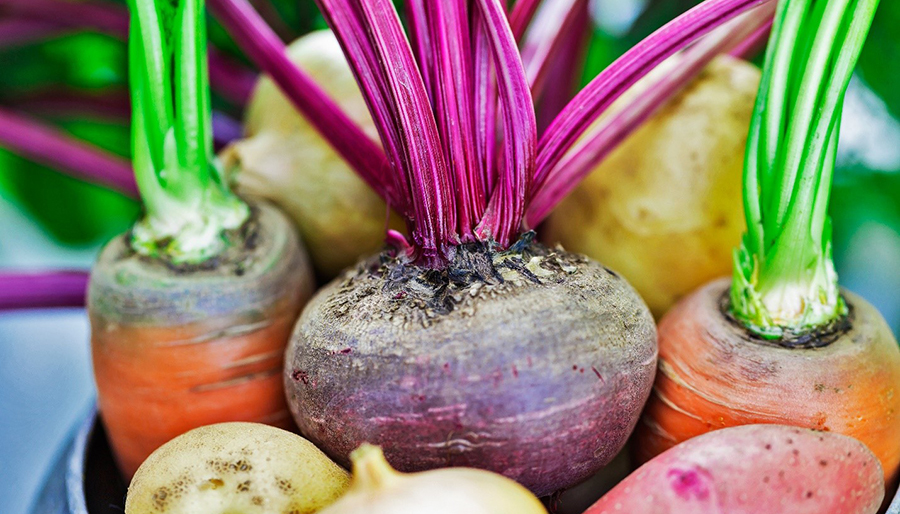 Root Vegetables Root Vegetables