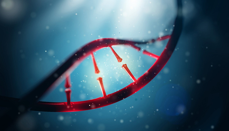 DNA strand