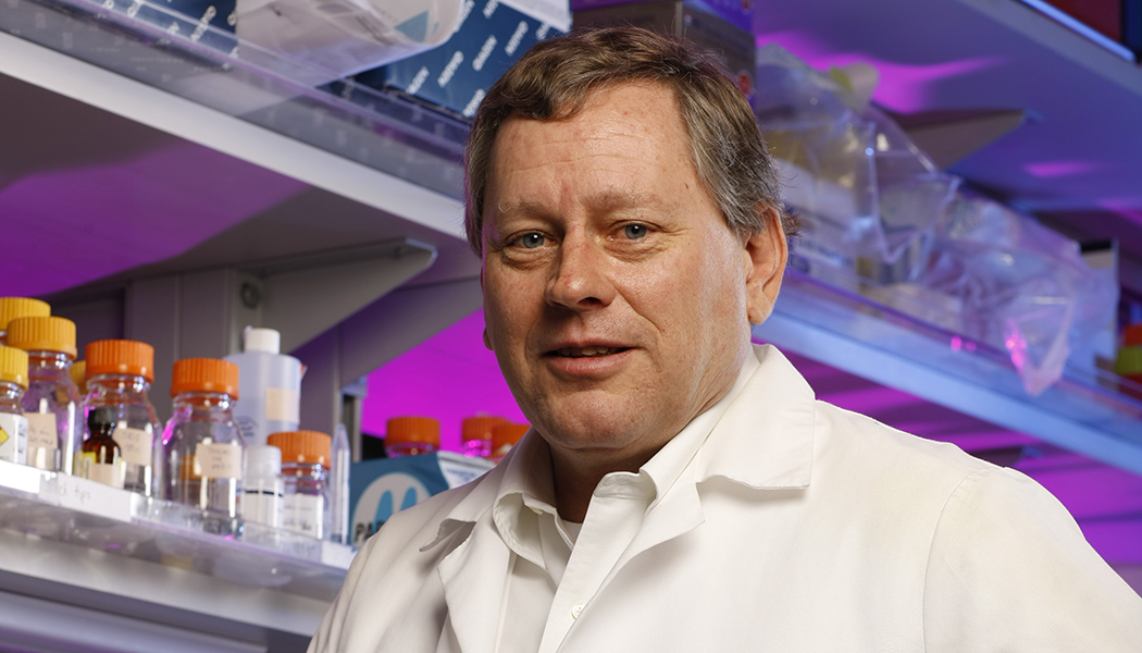 Web Cavenee Web Cavenee and the odball idea of tumor suppressor genes