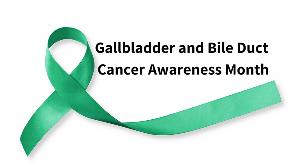 Gallbladder and Bile Duct Cancer Awareness Month Ribbon