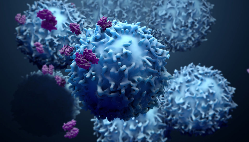 Immunotherapy Response Jain