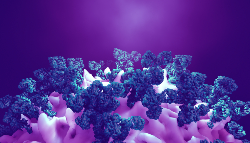 antibodies attack cancer