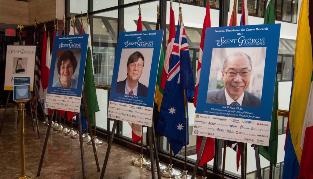 Prize Winners Signs