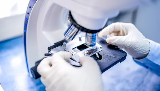5 Cancer Research Microscope