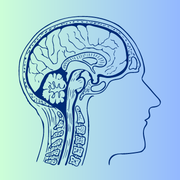 BRAIN 180X180 Brain Graphic