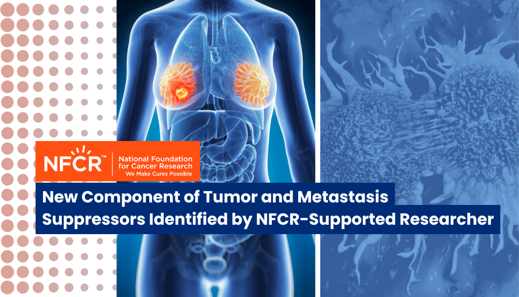 New Component of Tumor and Metastasis Suppressors Identified by NFCR-Supported Researcher