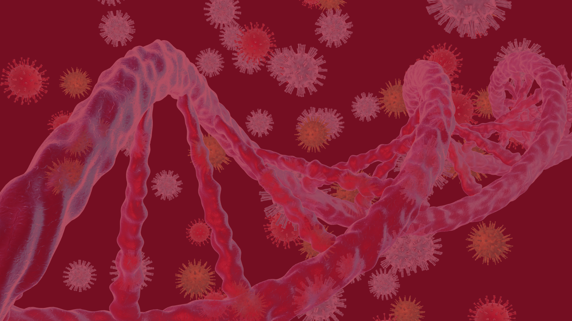 Oncogenes & Tumor Suppressor Genes