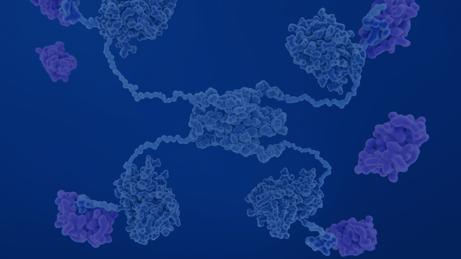 Tumor Microenvironment & Angiogenesis